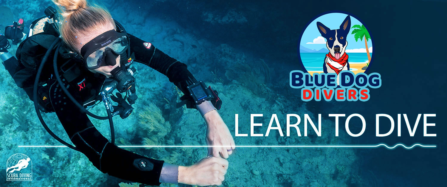 Scuba Diving